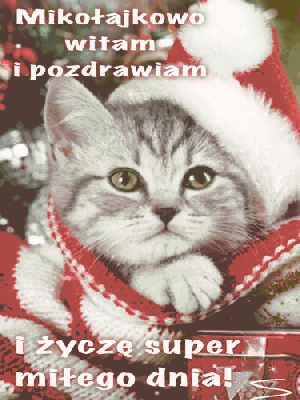 Malutki kotek z życzeniami na mikołajki